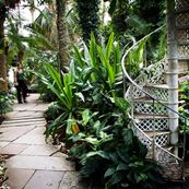 Botanical Garden